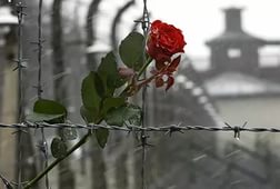 В институте патологоанатомии во Франции обнаружили фрагменты тела жертвы Холокоста - Похоронный портал
