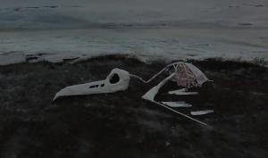Петербургский художник создал инсталляцию о загрязнении океана пластиком (фото) - Похоронный портал