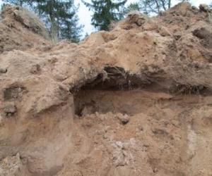 Судьбу массового захоронения, недавно обнаруженного в Красногородском районе, археологи будут решать совместно с муниципальными властями - Похоронный портал