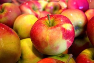 Яблоки исключительно полезны для здоровья