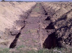 На новом кладбище Волгодонска появятся первые 1000 могил - Похоронный портал