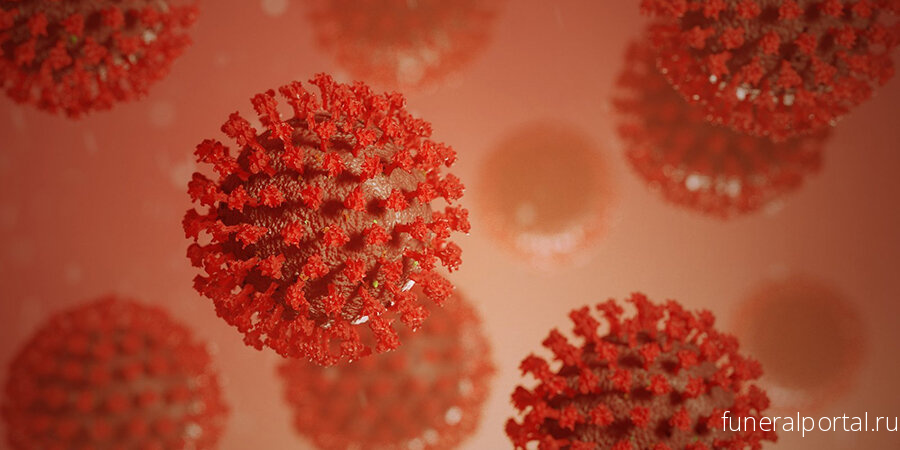 Ученый призывает не сходить с ума из-за коронавируса