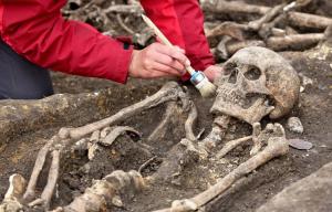 В Румынии найден Гепидский некрополь - Похоронный портал