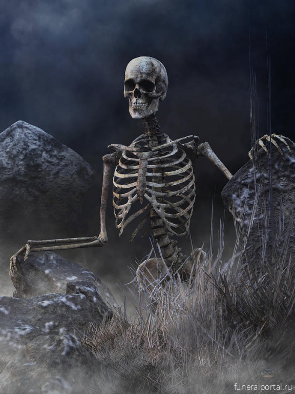 Пятигорск. Житель повредил могилу из ненависти к родным покойника - Похоронный портал