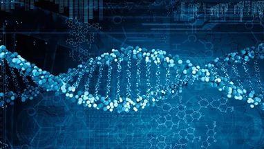 Ученые: «Темный» геном ДНК будет разгадан через 50 лет