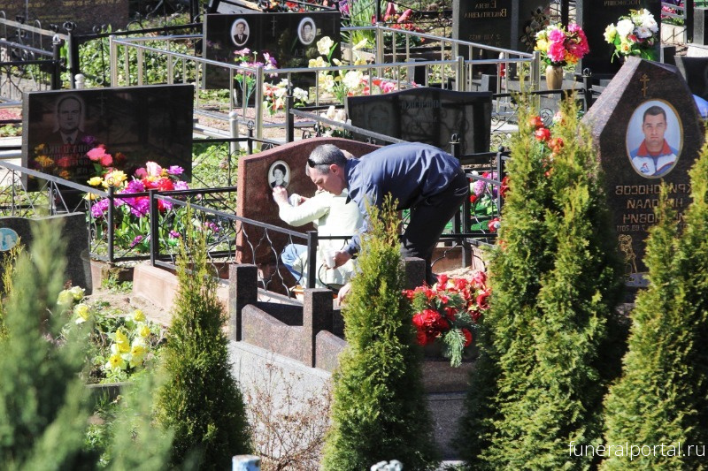 Цветы мертвых: 7 растений, которым место на кладбище