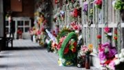 Первый крематорий в Подмосковье может построить испанский инвестор - Похоронный портал
