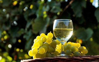 Ученые назвали белое вино опасным канцерогеном