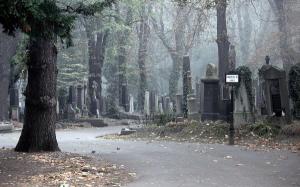 В Москве торгуют могилами на кладбищах, устанавливая высокие цены - Похоронный портал