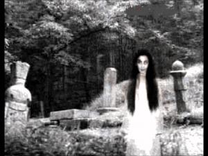 Удалось снять настоящих кладбищенских призраков - Похоронный портал