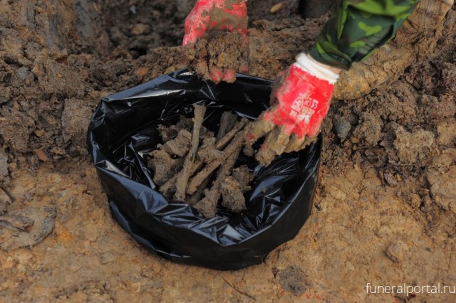 Эксперт: Многие воинские захоронения в Калининградской области переносили только на бумаге - Похоронный портал