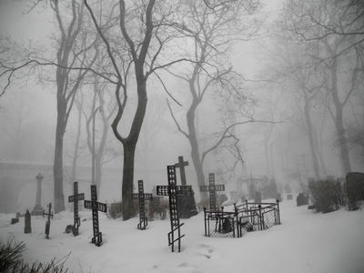 ФАС не против частных кладбищ - Похоронный портал