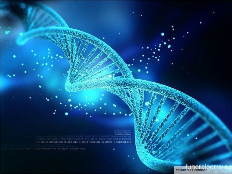 Новости генной терапии