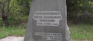 Власти Барнаула значительно ограничили работу Булыгинского кладбища - Похоронный портал