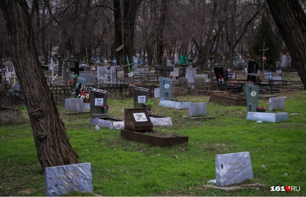 На борьбу с грызунами на ростовских кладбищах власти города потратят 700 тысяч - Похоронный портал