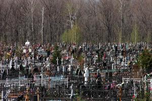 В Тамбове приступили к созданию «умных» кладбищ - Похоронный портал