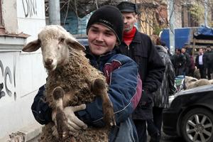 В Литве решили узаконить ритуальный забой скота - Похоронный портал