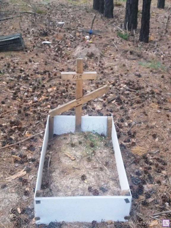 В память о Барсике и Рексе. Курганцы устроили стихийное кладбище домашних животных - Похоронный портал