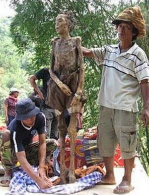 В Индонезии трупы самостоятельно отправляются на кладбище (ФОТО) - Похоронный портал