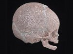 Hirst’s mini skull heads east - Похоронный портал