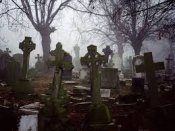 В Запорожье на благоустройство кладбищ хотят выделить более 200 тысяч гривен - Похоронный портал