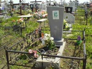 Радаев поручил сделать Елшанское кладбище «максимально доступным» - Похоронный портал