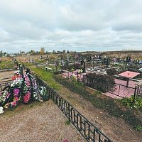 В Демидовском районе землю под ИЖС продали вместе с могилой и кладбищенской дорогой - Похоронный портал