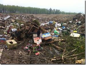 У кладбища в Петербурге экоактивисты выявили свалку отходов - Похоронный портал
