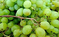 Гроздь здоровья. Названы шесть полезных свойств винограда
