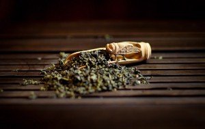 Самый древний чай нашли в гробнице китайского императора - Похоронный портал