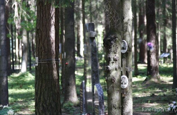 Школьники будут регулярно посещать мемориальное кладбище в Левашово - Похоронный портал
