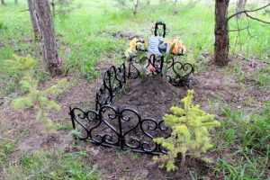 В Казани демонтировали могилу кошки, обнаруженную в парке Победы - Похоронный портал