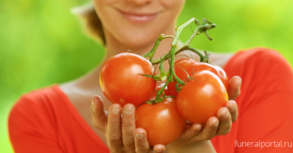 Польза помидоров для профилактики рака – это миф, считает врач