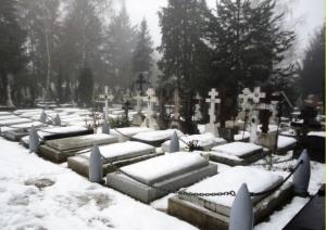 На экс-директора Заволжского кладбища завели дела за кражу участков под могилы - Похоронный портал