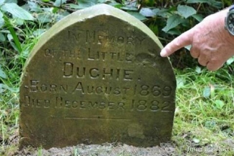 Британец обнаружил в лесу древнее надгробие, где похоронен не человек - Похоронный портал