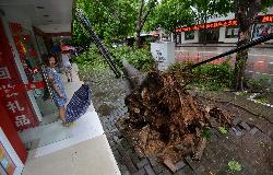 Число жертв тайфуна "Раммасун" в Китае увеличилось до 17 человек - Похоронный портал