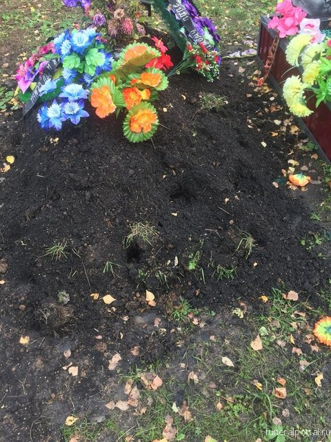 На сельском кладбище в Башкирии пасется крупнорогатый скот - Похоронный портал