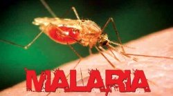 Малярию можно предотвратить