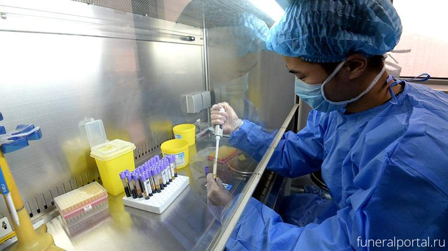 Третьего в мире пациента вылечили от ВИЧ при помощи стволовых клеток костного мозга