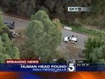 В Голливуде нашли отрезанную голову - Похоронный портал