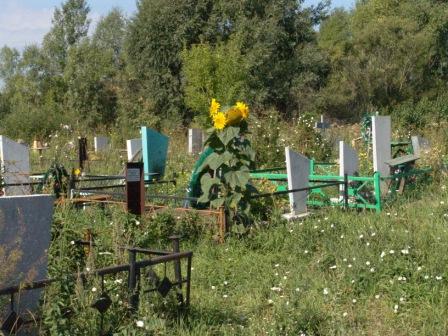 В Новосибирске изменились правила получения мест на кладбищах - Похоронный портал