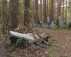 В деревне Ильинка Нижнекамского района кладбище превратилось в кучу мусора - Похоронный портал
