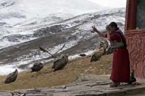 Экология вынуждает Тибет прибегать к альтернативе «небесных похорон» - Похоронный портал