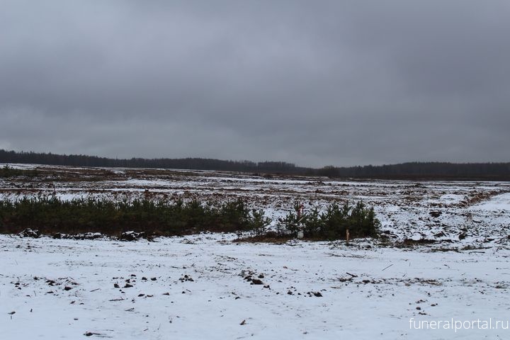 Новое кладбище в Коврове откроют в сентябре 2019 года - Похоронный портал