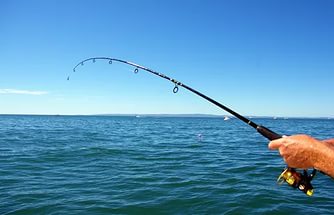 Рыбалка вполовину скращает риск смерти от инфаркта