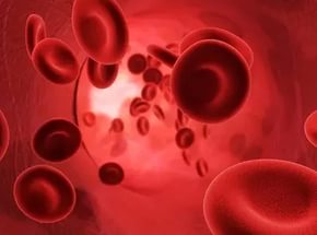 Как проверить качество кровообращения в организме?