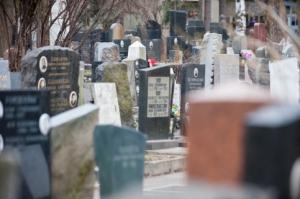 Дополнительные электрокары появятся на московских кладбищах - Похоронный портал