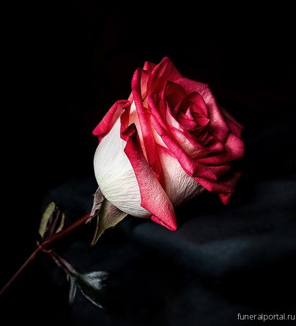 Новости компаний похоронной отрасли