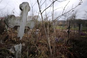 В Волгодонске задержан вандал, повредивший на кладбище 12 надгробий  - Похоронный портал