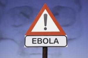 Новосибирские вирусологи, вернувшиеся из Африки: Лихорадку Эбола вновь принесут дожди… - Похоронный портал